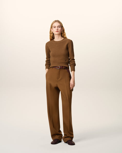                             Brown Wool Large Fit Trousers - 3                         - Ami Paris