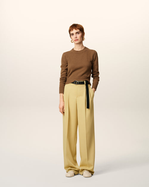                                     Green Wool Tabs Wide Trousers  - 3                                 - Ami Paris