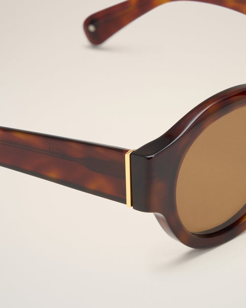 Brown Acetate 75002 Sunglasses - 4 - Ami Paris