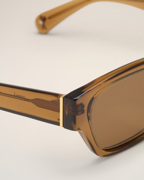 Brown Acetate 75009 Sunglasses - 9 - Ami Paris