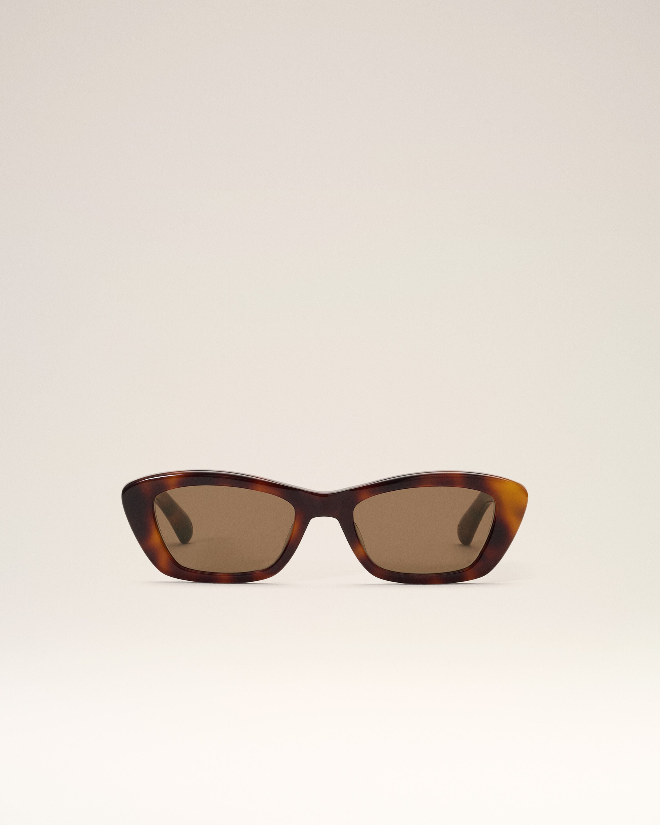Gafas de sol 75020 marrón - 6