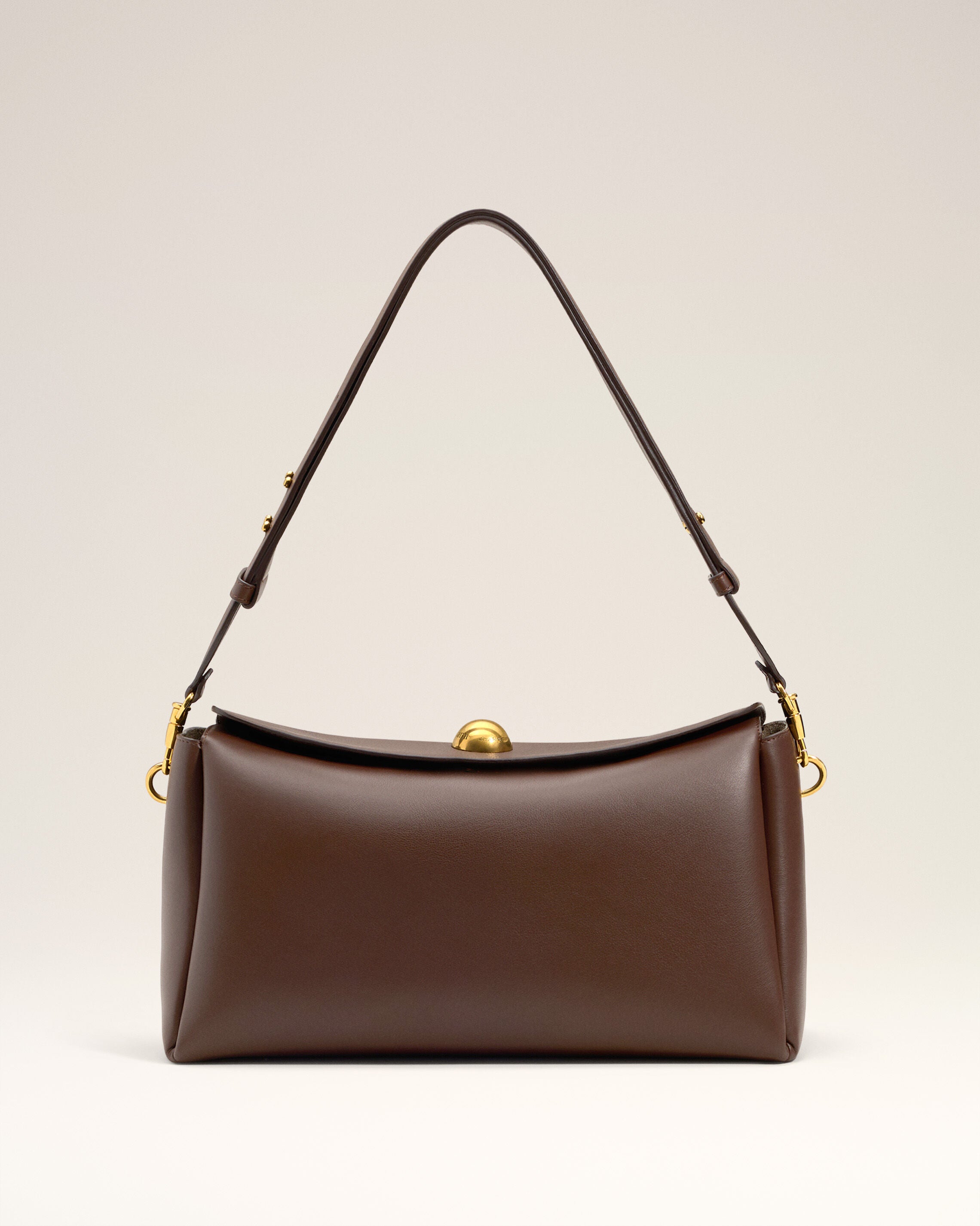 Brown Smooth Leather Carrousel Medium Bag - 1