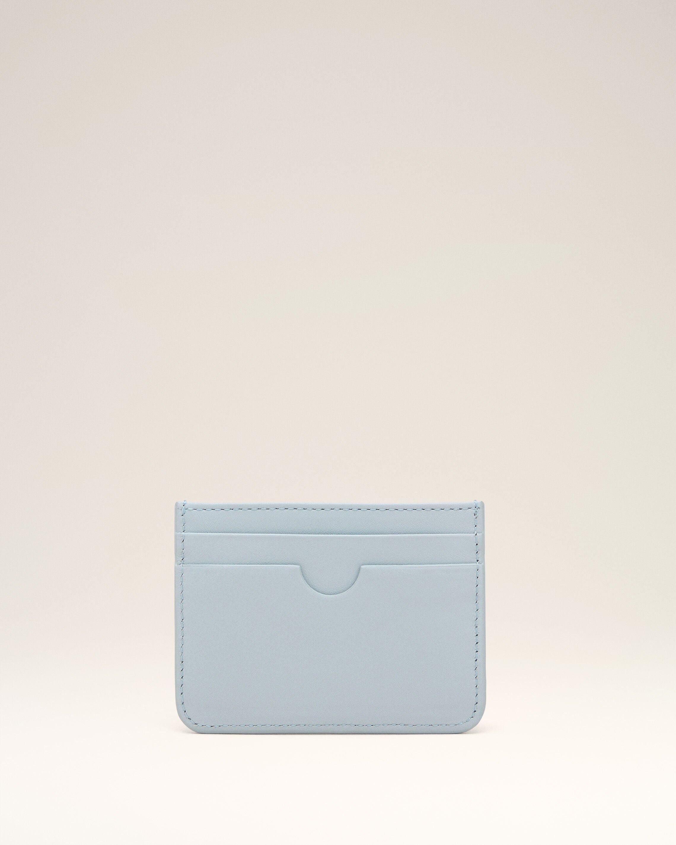 ウィメンズ新作デザイナーウォレット&レザー小物 | AMI PARIS